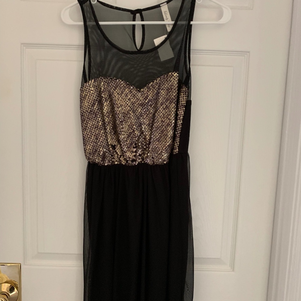 Lovely Day sequin dress NWT!